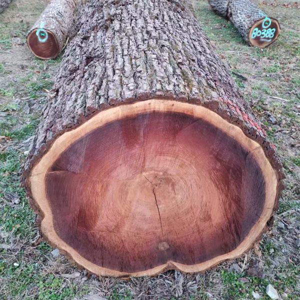 BMJ Forest Products log inventory 1